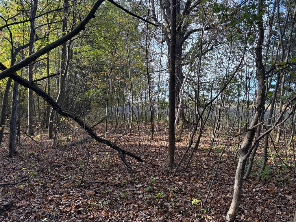 TBD Nightingale Street Braham MN 55006 7069391 image39