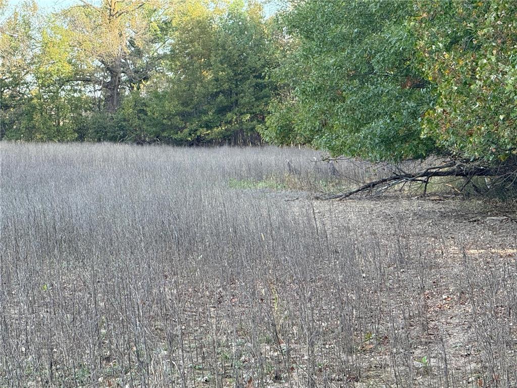 TBD Nightingale Street Braham MN 55006 7069391 image40