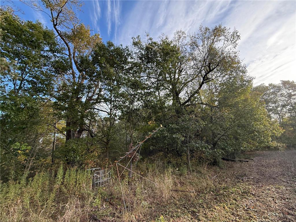 TBD Nightingale Street Braham MN 55006 7069391 image44