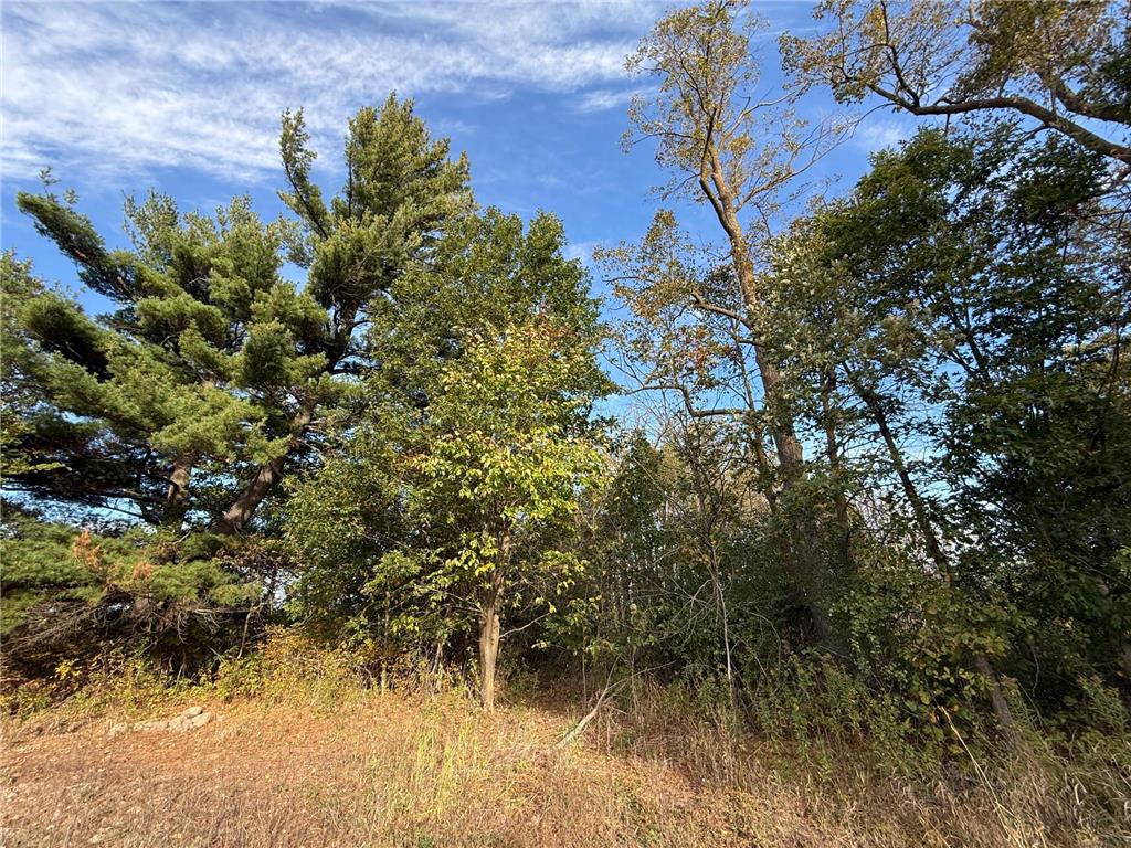 TBD Nightingale Street Braham MN 55006 7069391 image46