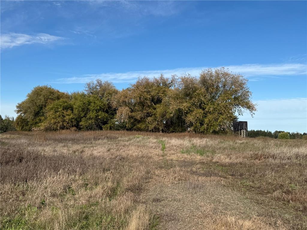 TBD Nightingale Street Braham MN 55006 7069391 image48