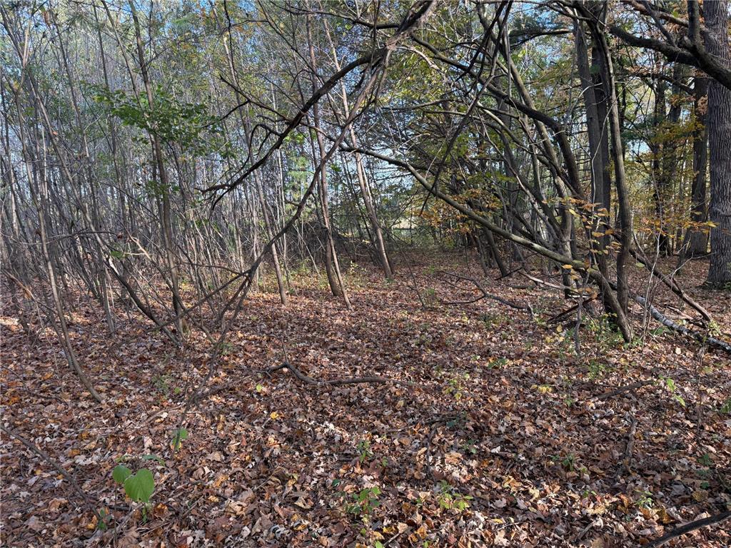 TBD Nightingale Street Braham MN 55006 7069391 image9