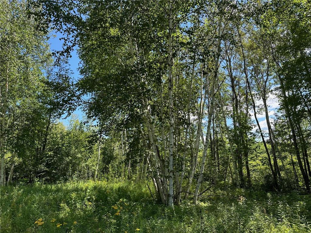 TBD Nokay Hall Road Brainerd MN 56401 6585459 image1