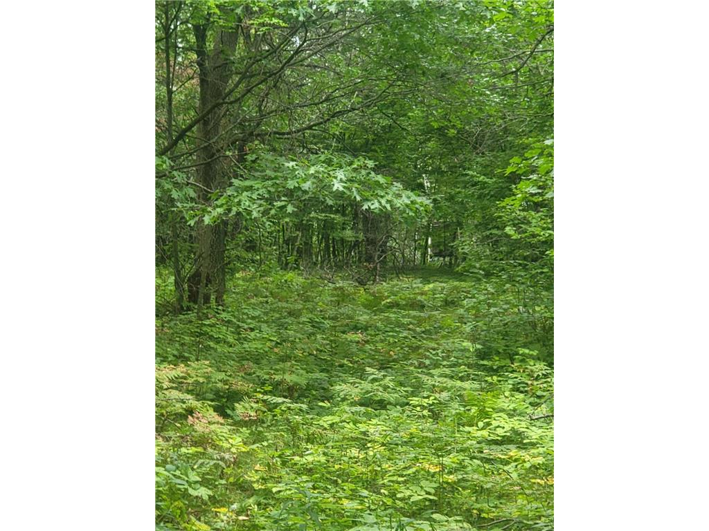 TBD Nokay Hall Road Brainerd MN 56401 6585459 image20