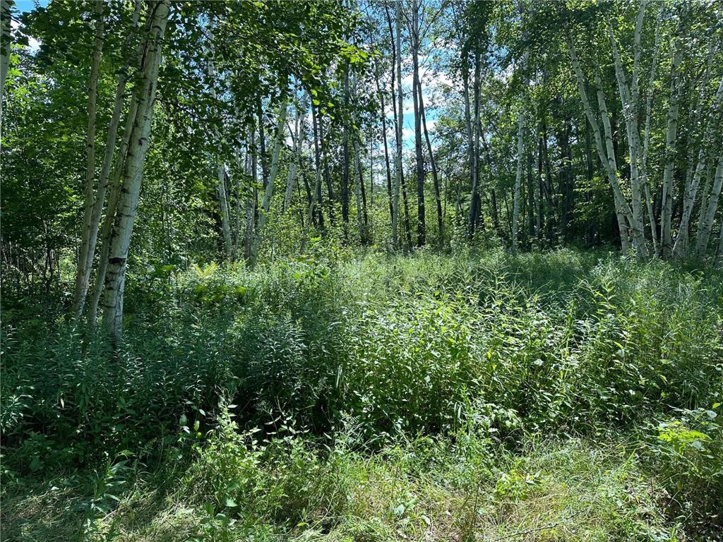TBD Nokay Hall Road Brainerd MN 56401 6585459 image21