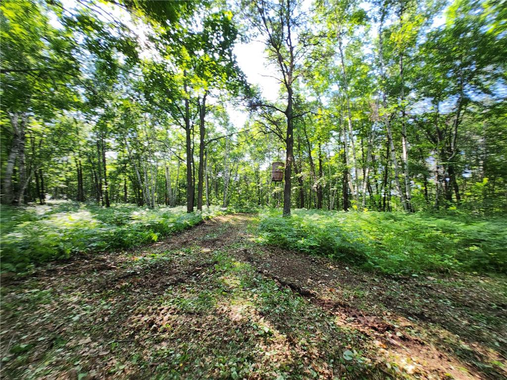 TBD Nokay Hall Road Brainerd MN 56401 6585459 image22
