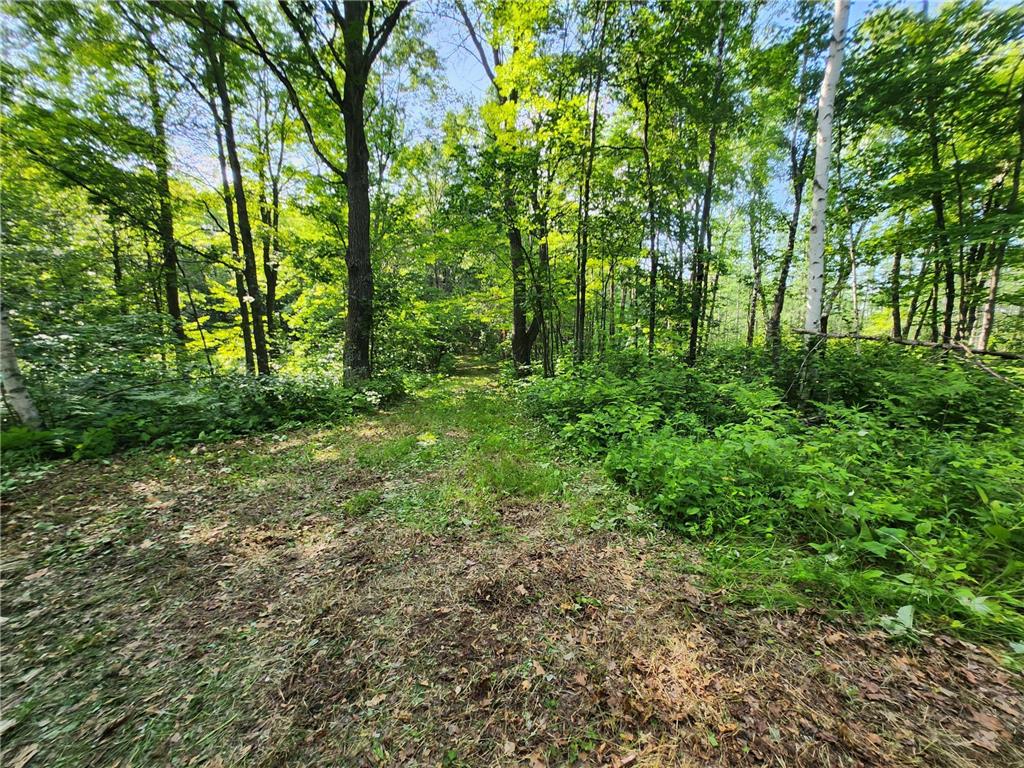 TBD Nokay Hall Road Brainerd MN 56401 6585459 image24