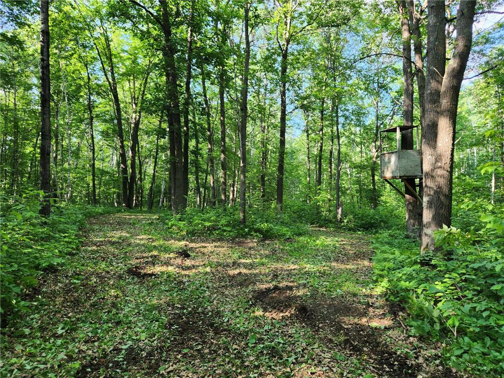 TBD Nokay Hall Road Brainerd MN 56401 6585459 image25