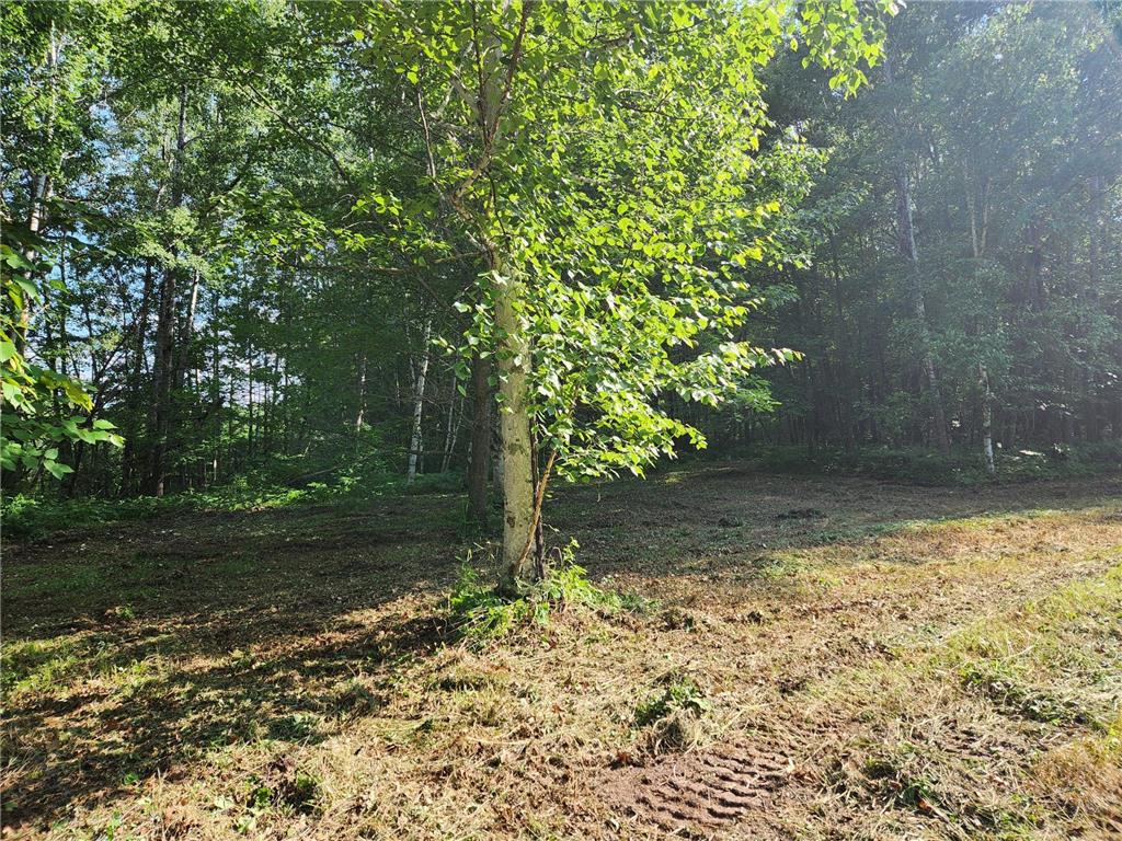 TBD Nokay Hall Road Brainerd MN 56401 6585459 image27