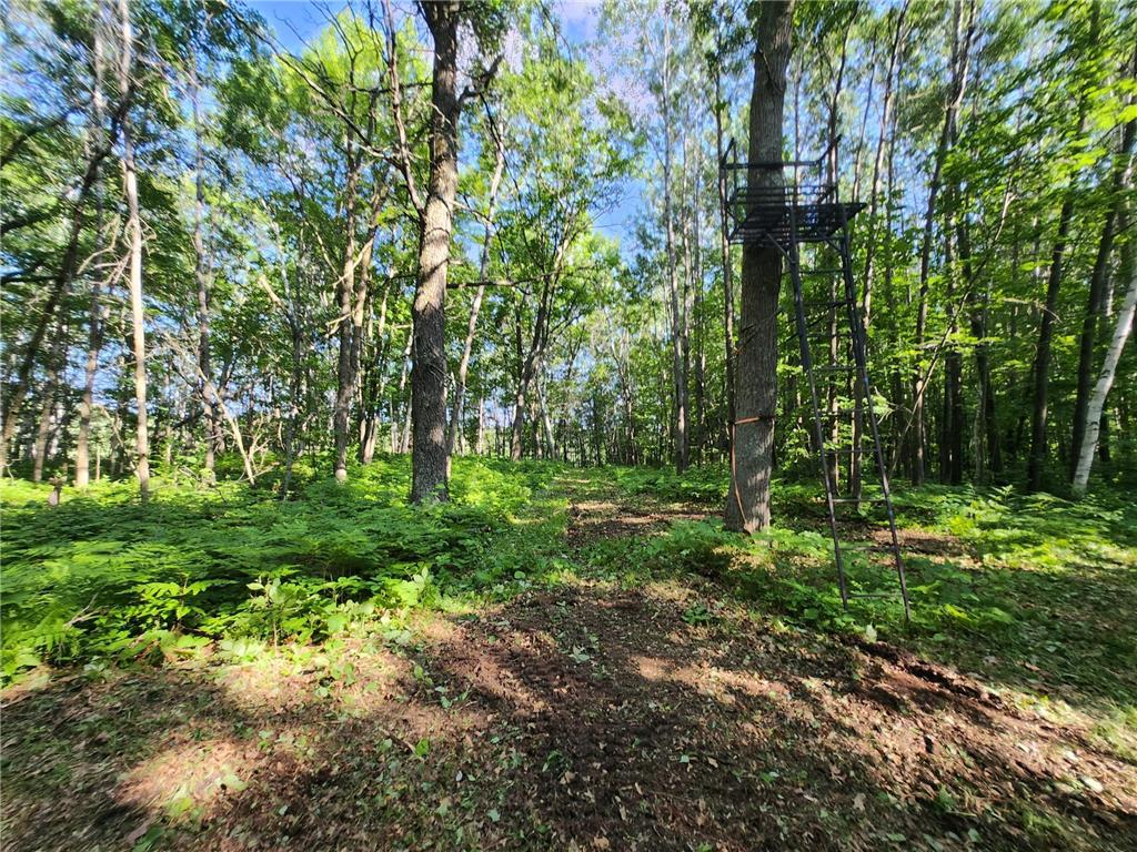 TBD Nokay Hall Road Brainerd MN 56401 6585459 image28