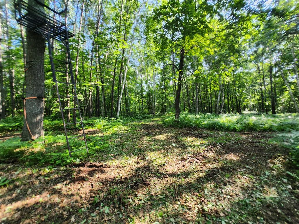 TBD Nokay Hall Road Brainerd MN 56401 6585459 image33