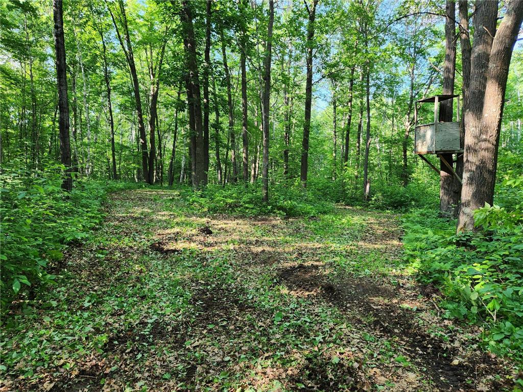 TBD Nokay Hall Road Brainerd MN 56401 6585459 image34