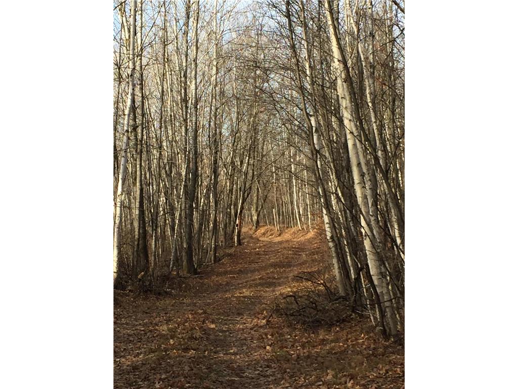 TBD Nokay Hall Road Brainerd MN 56401 6585459 image35