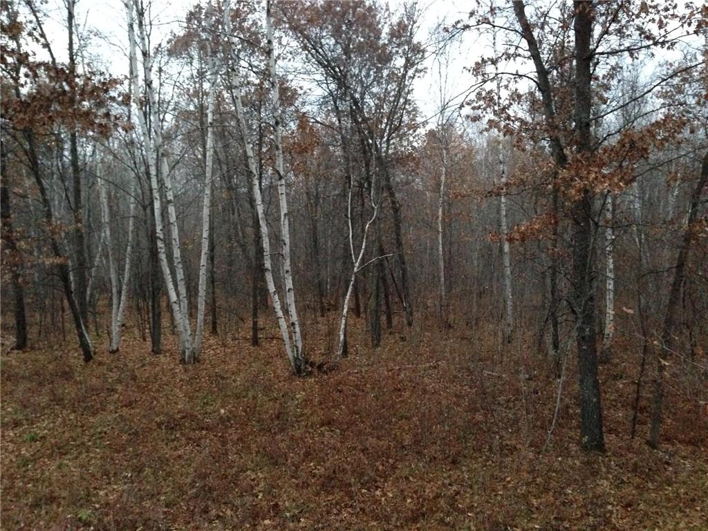 TBD Nokay Hall Road Brainerd MN 56401 6585459 image36