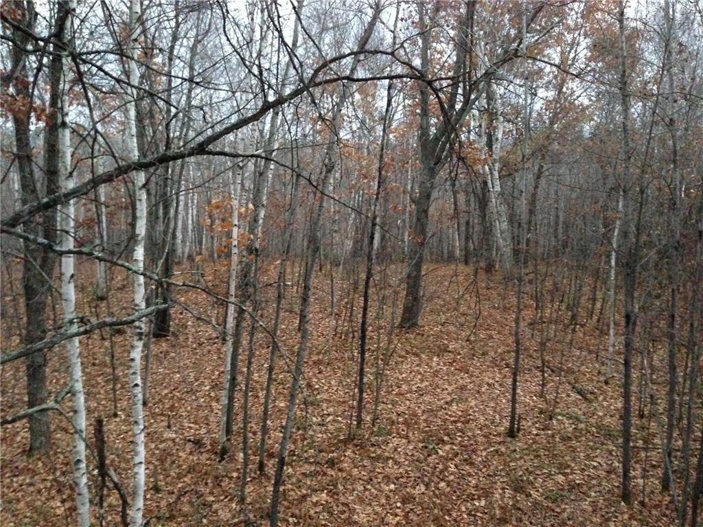 TBD Nokay Hall Road Brainerd MN 56401 6585459 image37