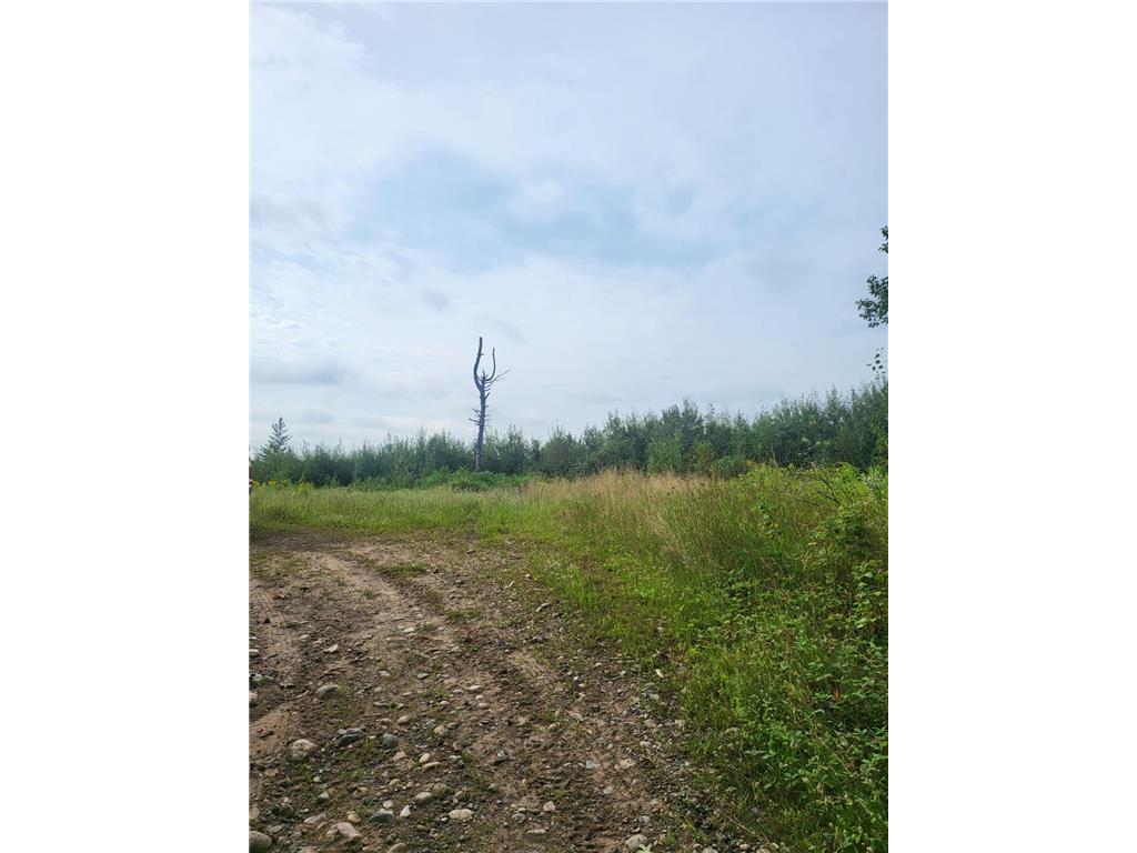 TBD Nokay Hall Road Brainerd MN 56401 6585459 image4
