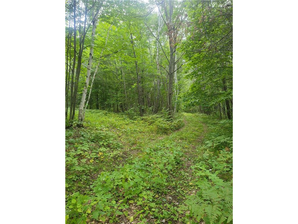 TBD Nokay Hall Road Brainerd MN 56401 6585459 image7