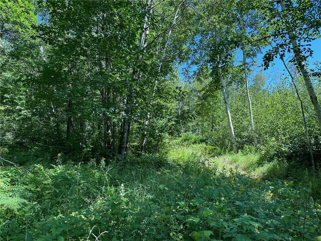 TBD Nokay Hall Road Brainerd MN 56401 6585459 image9