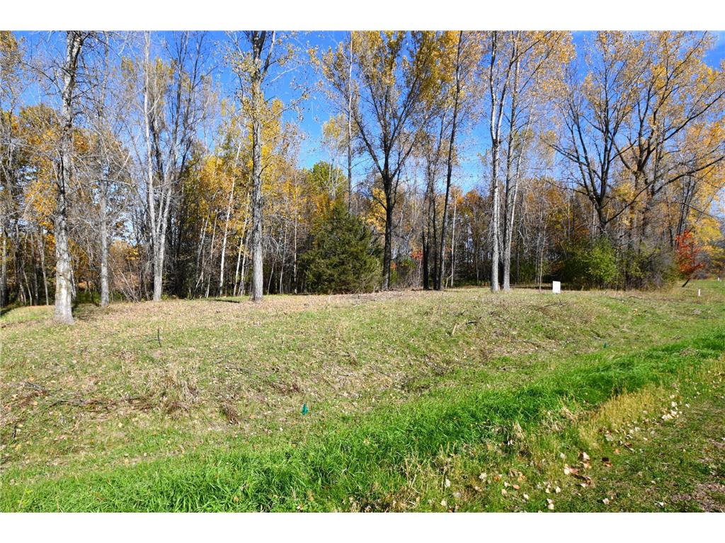 TBD North Avenue Chisago City MN 55013 - Wallmark 7008611 image4