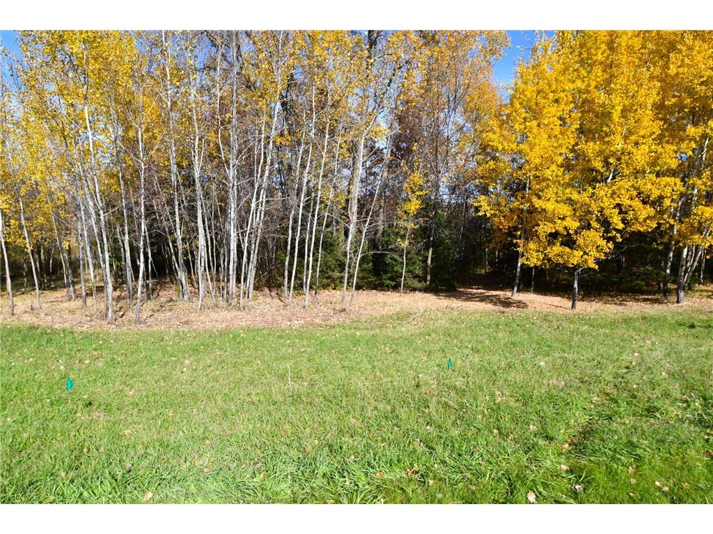 TBD North Avenue Chisago City MN 55013 - Wallmark 7008611 image6