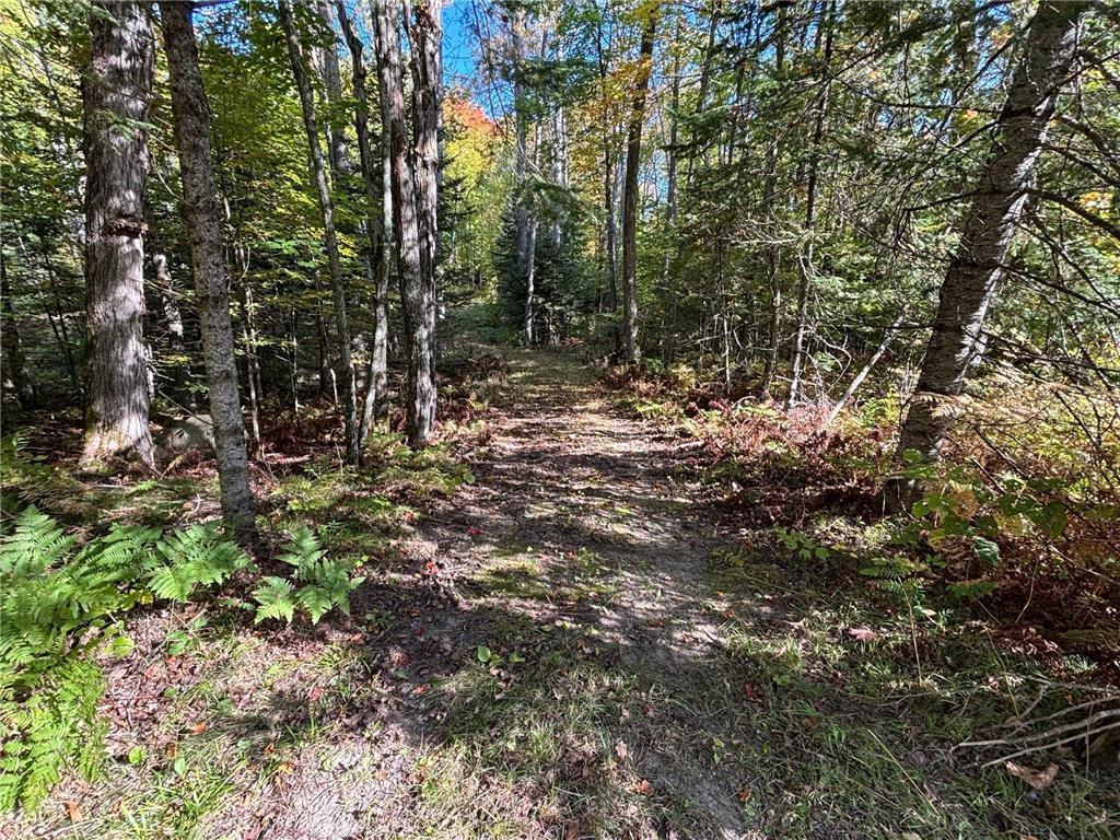 TBD North Sherrys Arm Road Grand Rapids MN 55744 7046351 image2