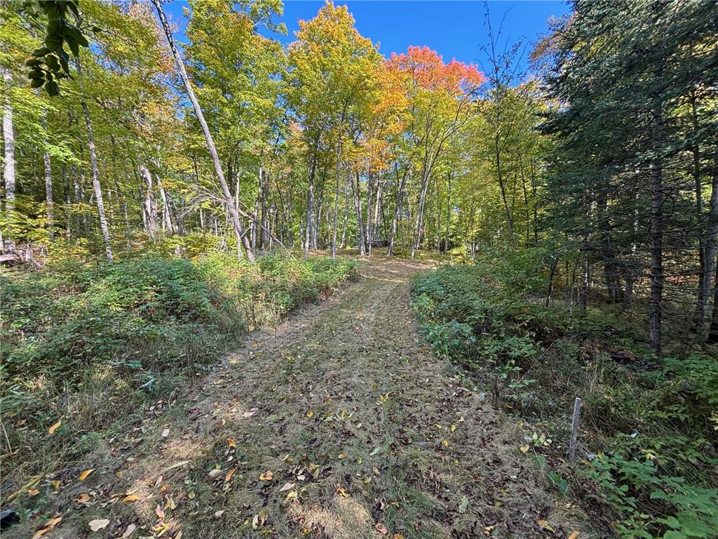 TBD North Sherrys Arm Road Grand Rapids MN 55744 7046351 image4