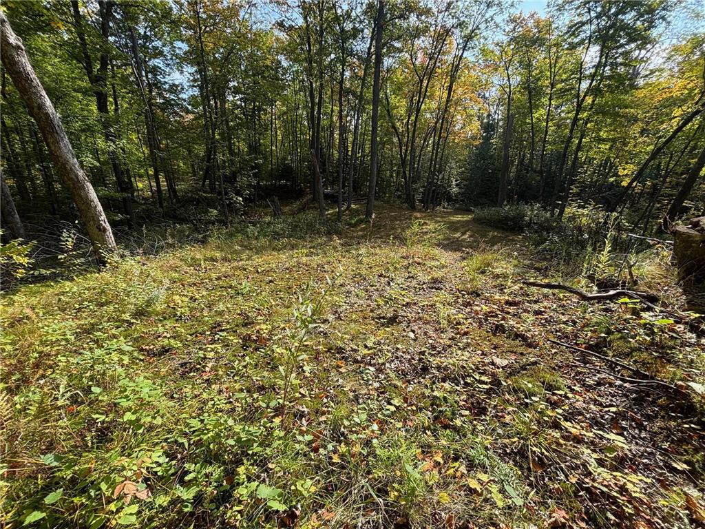 TBD North Sherrys Arm Road Grand Rapids MN 55744 7046351 image6