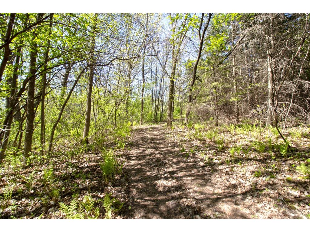 TBD Northland Trail Lindstrom MN 55045 7081281 image4