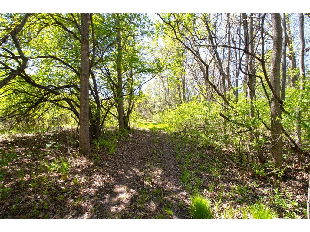 TBD Northland Trail Lindstrom MN 55045 7081281 image6