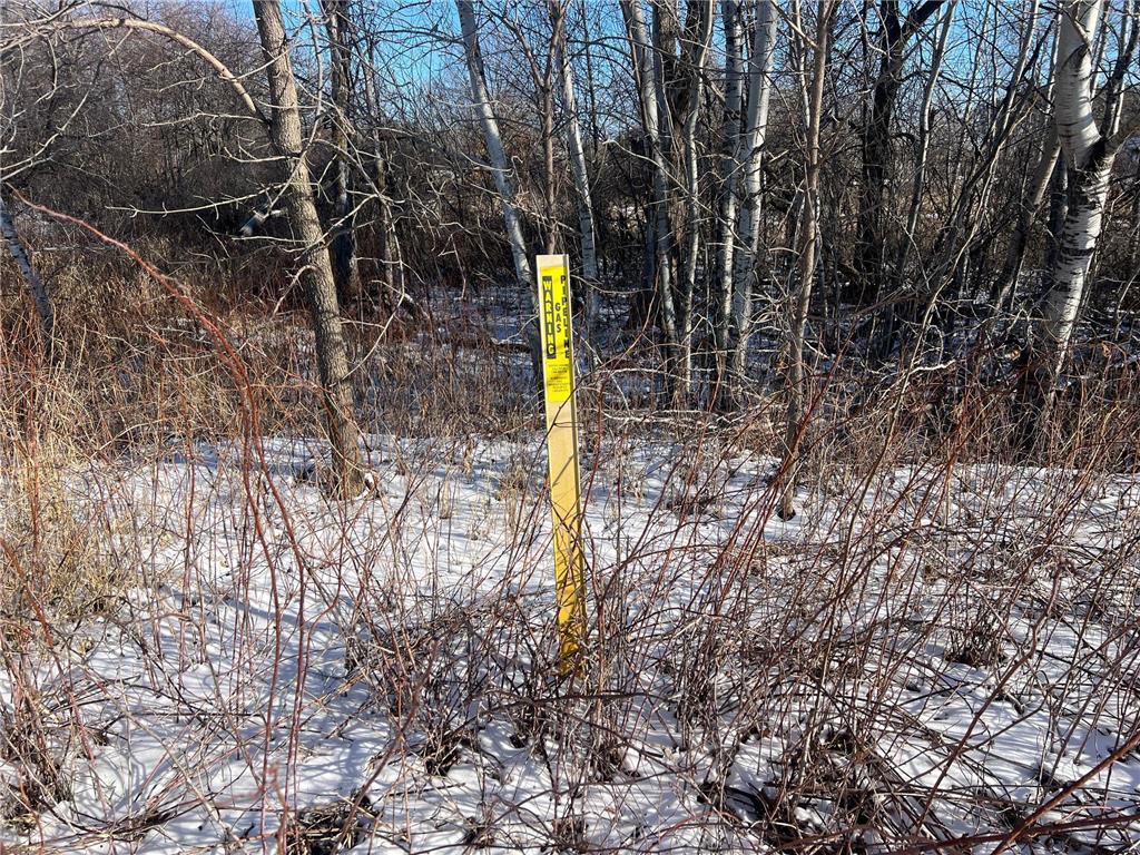 TBD Northridge Drive NW Pine City MN 55063 6744347 image15