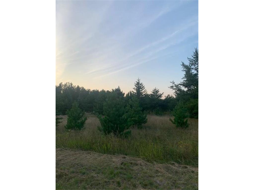 TBD Pine Circle Breezy Point MN 56472 6579743 image1