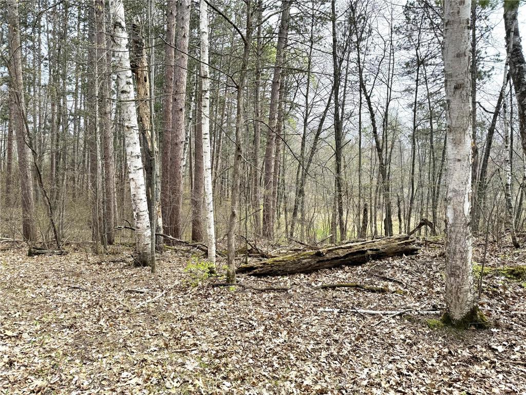 TBD Norway Pine Lane Emily MN 56447 6534279 image1