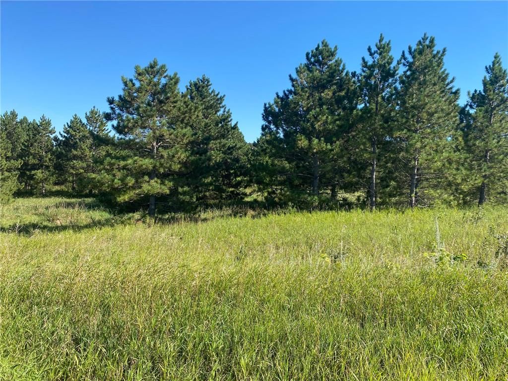 TBD Norway Pine Road Tumuli Twp MN 56324 6776856 image1