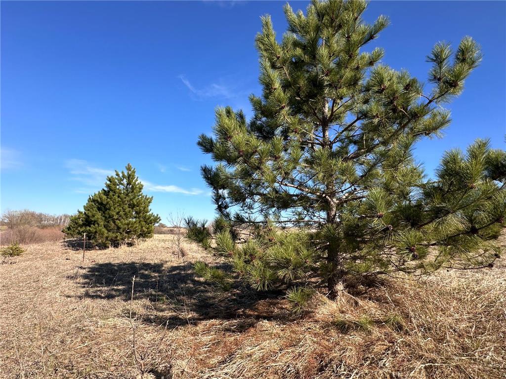 TBD- Norwegian Road Folden Twp MN 56588 7063928 image22