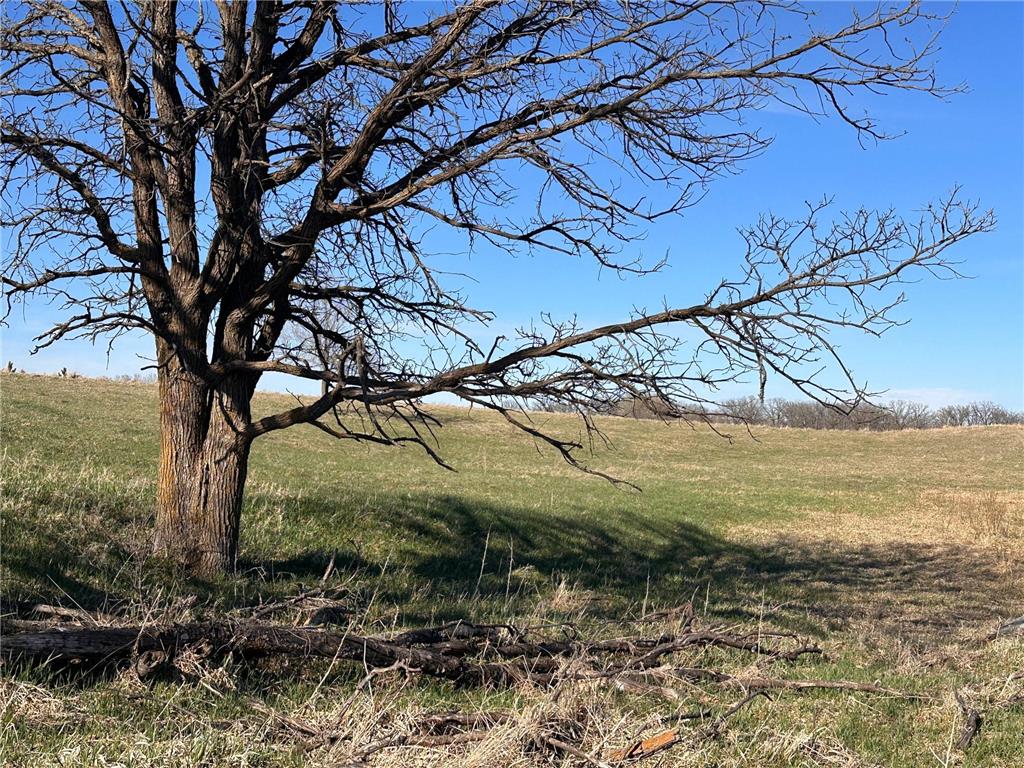 TBD- Norwegian Road Folden Twp MN 56588 7063928 image30