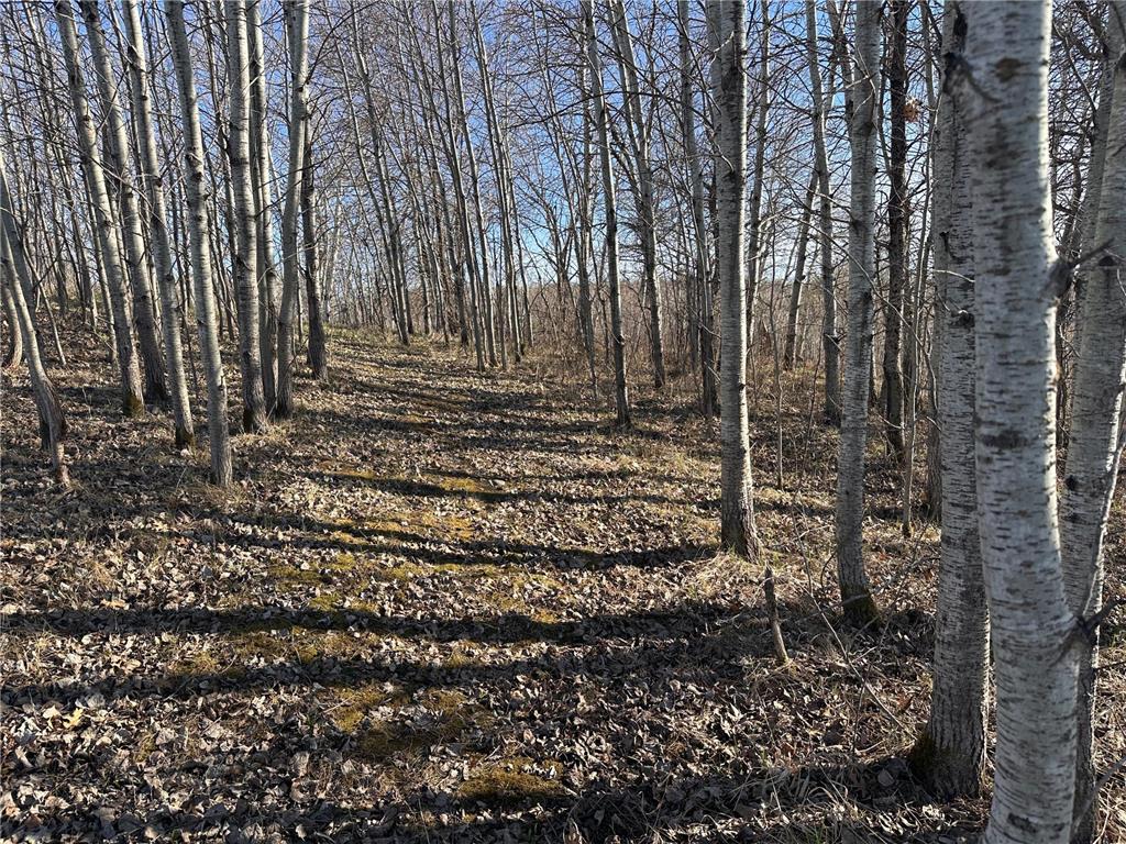 TBD- Norwegian Road Folden Twp MN 56588 7063928 image31