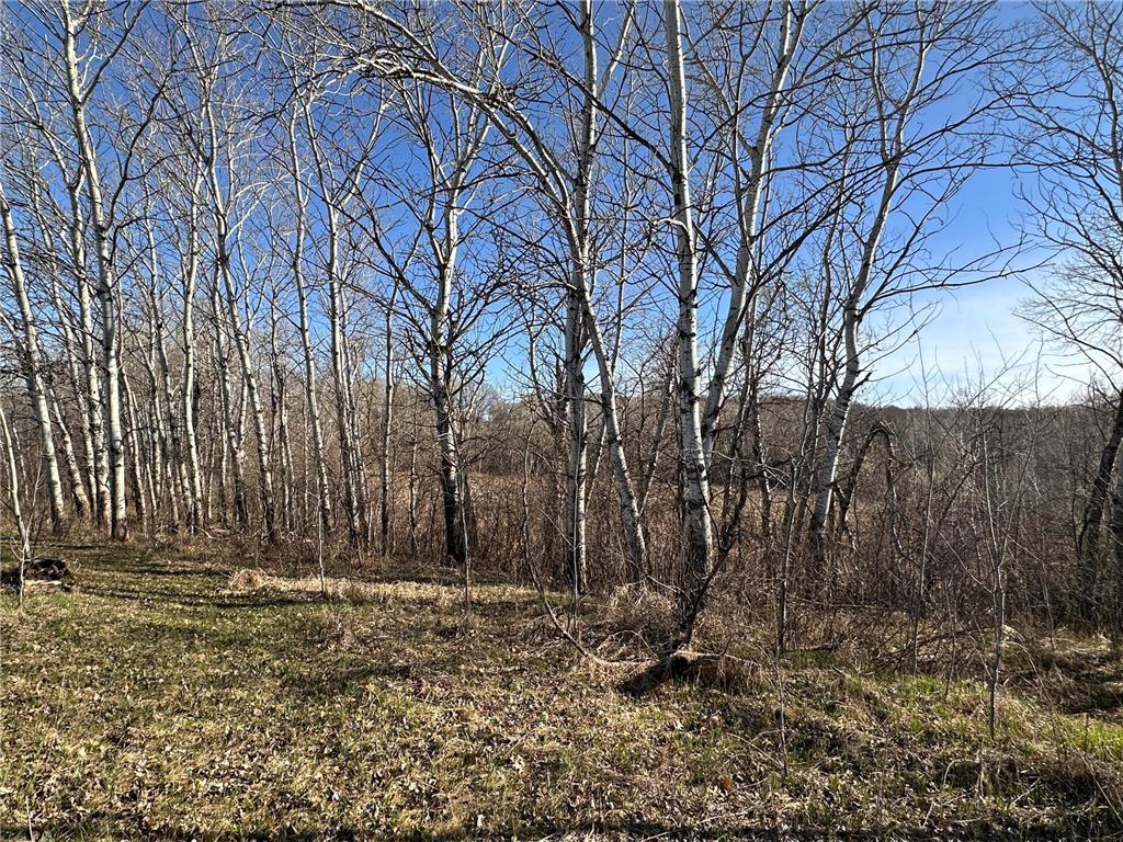TBD- Norwegian Road Folden Twp MN 56588 7063928 image32