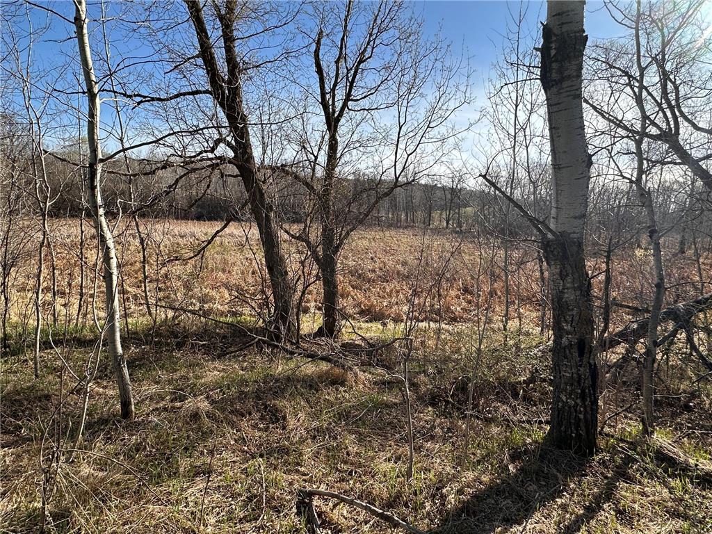 TBD- Norwegian Road Folden Twp MN 56588 7063928 image33