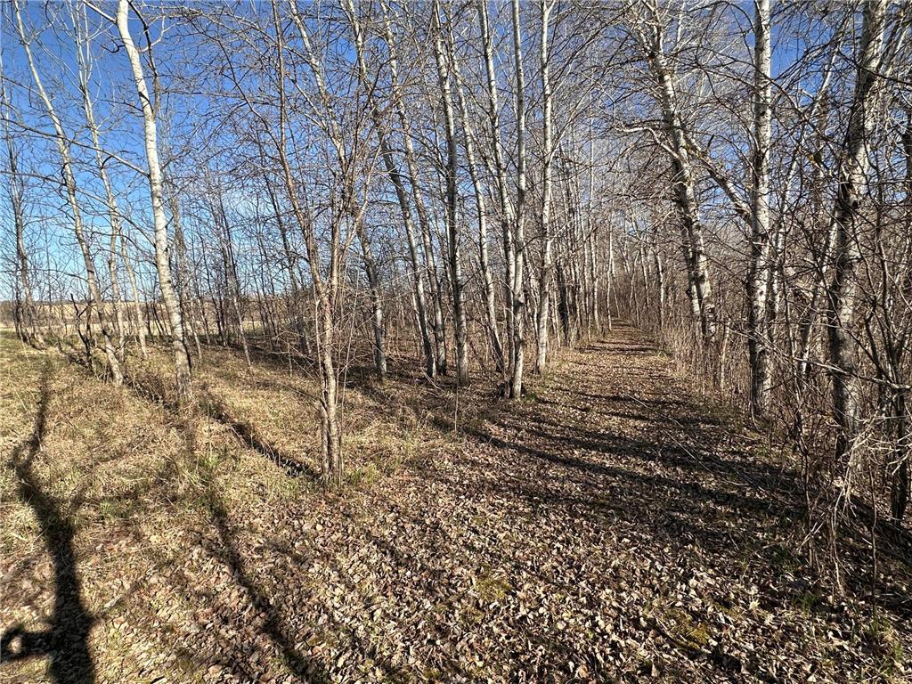 TBD- Norwegian Road Folden Twp MN 56588 7063928 image34
