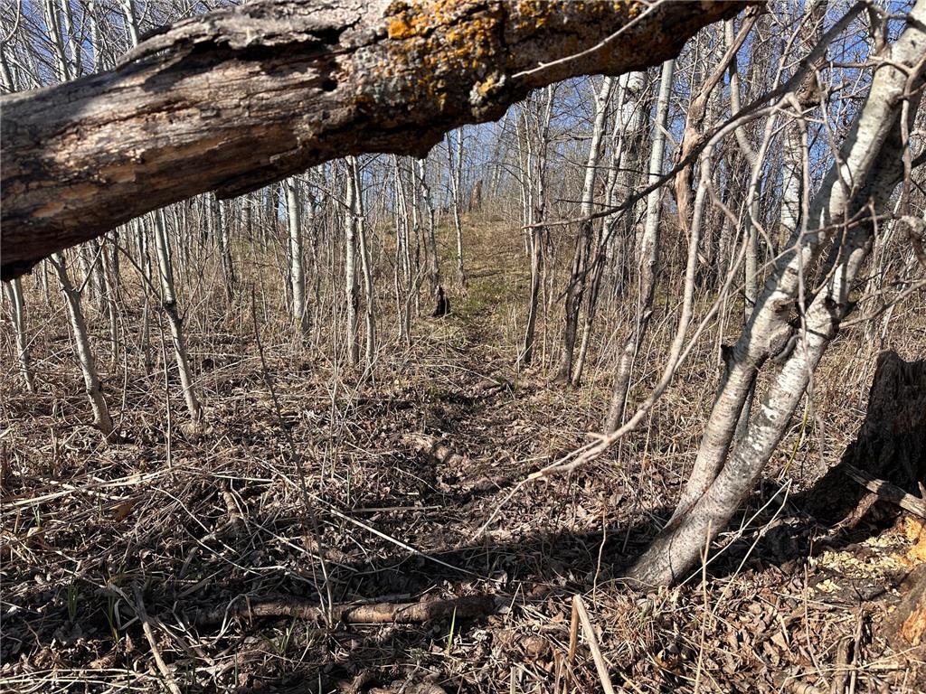 TBD- Norwegian Road Folden Twp MN 56588 7063928 image37