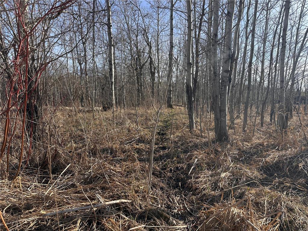 TBD- Norwegian Road Folden Twp MN 56588 7063928 image38