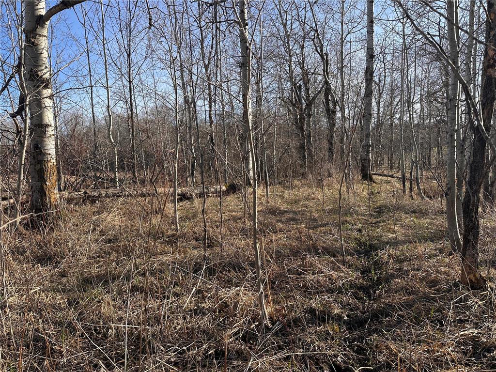 TBD- Norwegian Road Folden Twp MN 56588 7063928 image39