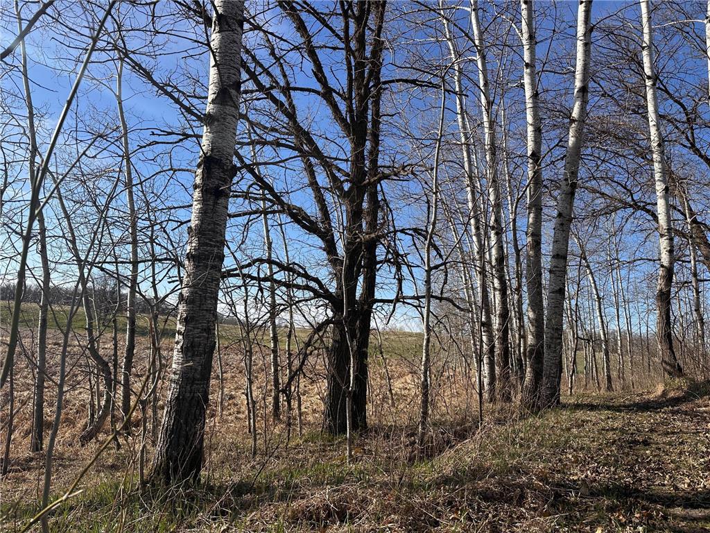 TBD- Norwegian Road Folden Twp MN 56588 7063928 image40