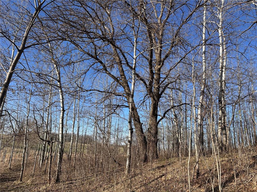 TBD- Norwegian Road Folden Twp MN 56588 7063928 image41