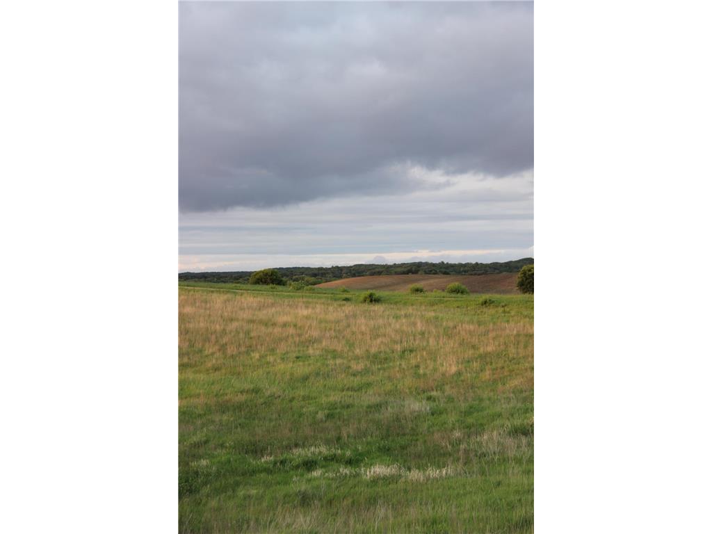 TBD Norwegian Road Vining MN 56588 6820825 image2