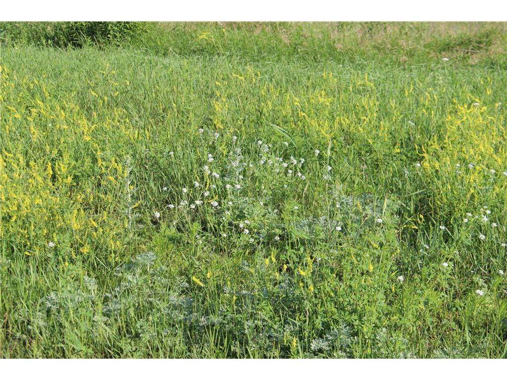 TBD Norwegian Road Vining MN 56588 6820825 image3