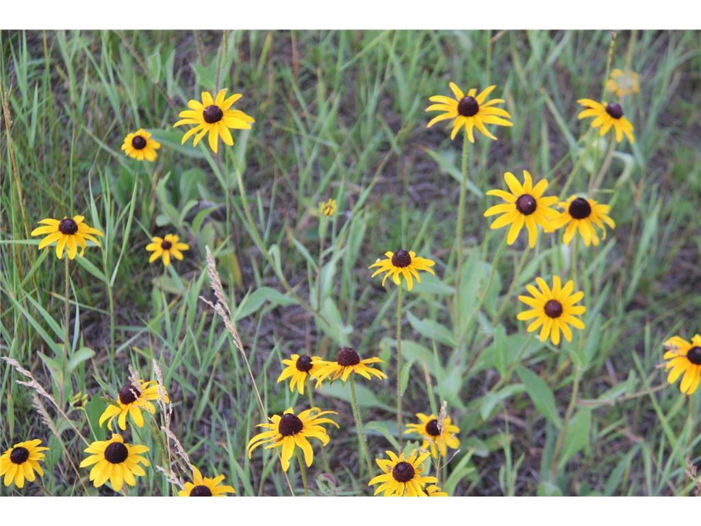 TBD Norwegian Road Vining MN 56588 6820825 image4