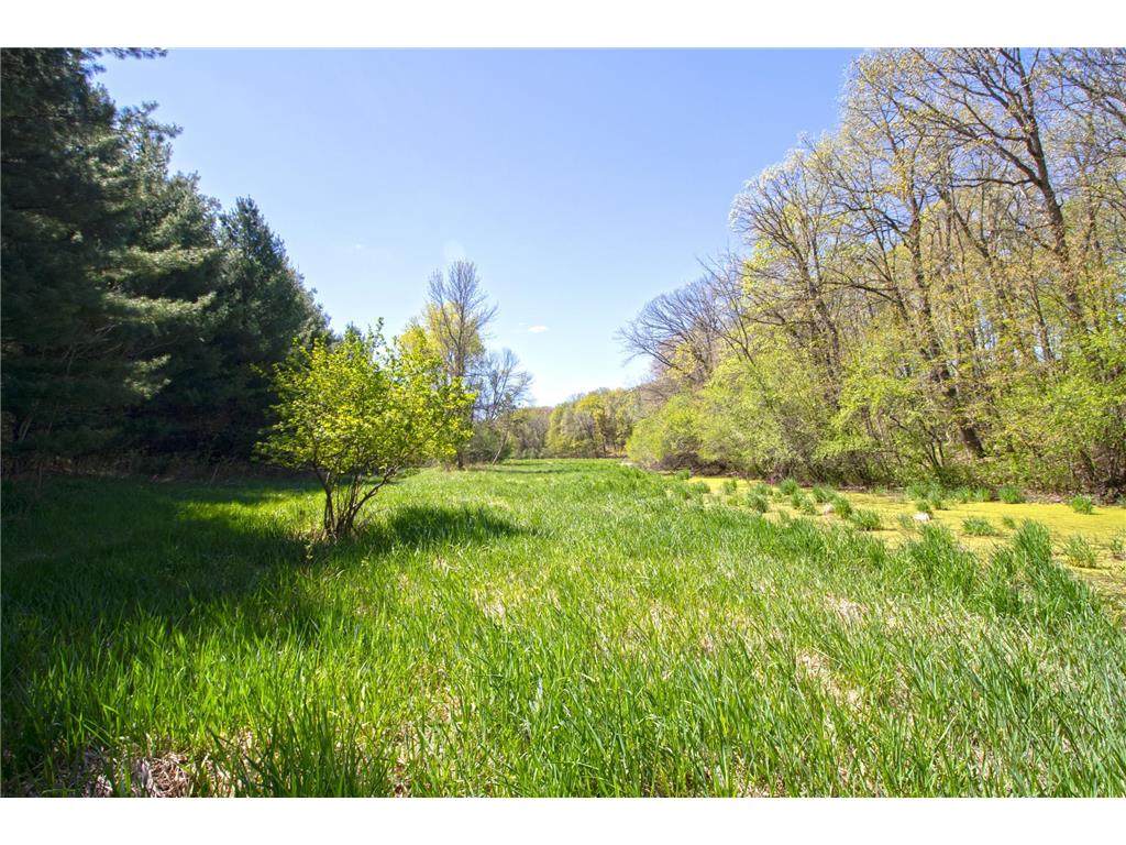 TBD Nueman Trail Lindstrom MN 55045 7081265 image6