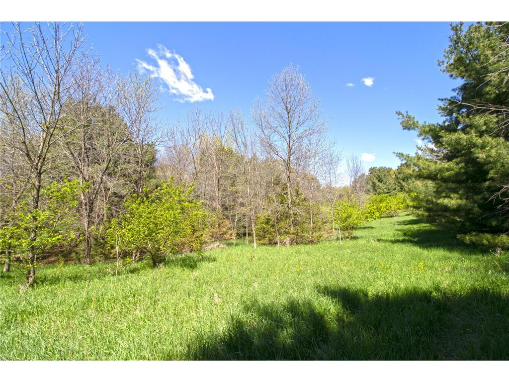 TBD Nueman Trail Lindstrom MN 55045 7081265 image7
