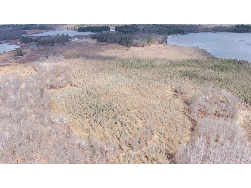 TBD OWL LAKE La Follette Twp WI 54872 - Owl 7032537 image17